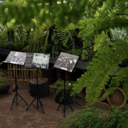 Патриотическая прогулка «Блокадная повесть Ботанического сада» 2026 фотографии