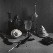 Выставка «Жизнь вещей» фотографии