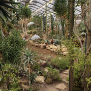 Патриотическая прогулка «Блокадная повесть Ботанического сада» 2026 фотографии