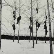 Выставка «О фотографии..» фотографии