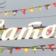 Большой каток на Елагином остове сезон 2025/26 фотографии