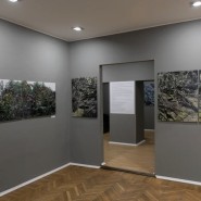 Выставка «Возвращение к видению» фотографии