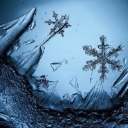 Выставка «Геометрия Зимы» фотографии