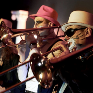 Инструментальное шоу «Джаз-Коты» от Оркестра солистов CITY MUSIC BAND фотографии