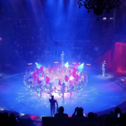 Шоу «Королевский цирк» фотографии