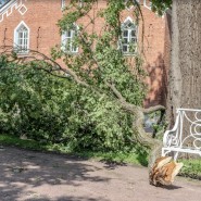 Последствия урагана в музее-заповеднике «Царское Село» фотографии