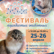 Фестиваль породистых животных «ЛапЛандия» в ТРК «Парк Молл» фотографии