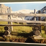 Выставка «Альпийский поход Суворова. Диалоги с прошлым» фотографии