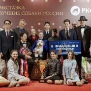 Выставка «Лучшие собаки России. Шоу чемпионов» фотографии