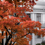 Центральный Парк культуры и отдыха имени С. М. Кирова фотографии