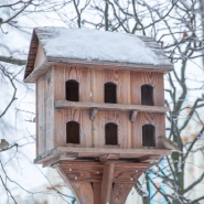 Музей-заповедник приглашает покормить птиц зимой фотографии