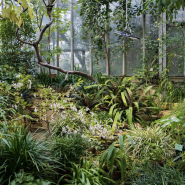 Фестиваль «Ботанический Новый год»2026 фотографии