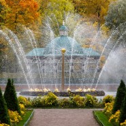 Топ-10 интересных событий в Санкт-Петербурге на выходные 16 и 17 октября 2021 фотографии