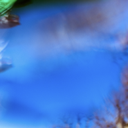 Выставка «Нерассказанные истории» Ольги Нефф фотографии