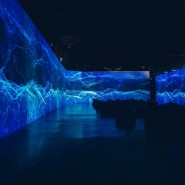 Мультимедийная выставка «Айвазовский и Рерих — ожившие полотна» фотографии