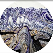 Выставка «Живая материя» фотографии