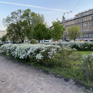 Топ-10 интересных событий в Санкт-Петербурге в выходные 7 и 8 июня 2025 фотографии