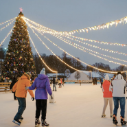 Большой каток на Елагином остове сезон 2025/26 фотографии