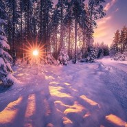 Всероссийский День снега в рамках «Лыжных стрел» 2018 фотографии