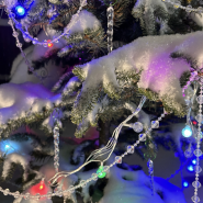 Интересные события в Санкт-Петербурге в новогодние праздники с 31 декабря по 11 января 2026 фотографии