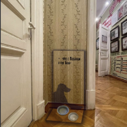 Выставка «В нашей квартире собаки и кот: питомцы С.М. Кирова» фотографии