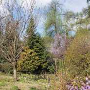 Ботанический фестиваль «Торжествуй, зелёный май!» 2026 фотографии