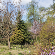 Ботанический фестиваль «Торжествуй, зелёный май!» 2026 фотографии