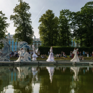 «Ассоциации-2026» пройдут в музее-заповеднике «Царское Село» фотографии