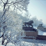 Топ лучших событий в Санкт-Петербурге на выходные 27 и 28 января фотографии