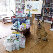 Акция «Поддержи хвостатых» в библиотеках Фрунзенского района 2026 фотографии