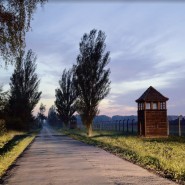 Выставочный проект «Память места. Место памяти» фотографии