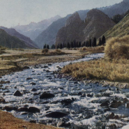 Выставочный проект «Лицевая сторона. Цветная фотооткрытка в СССР 1950–1970-х годов» фотографии