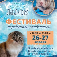 Фестиваль породистых животных «ЛапЛандия» в ТРК «Питерлэнд» фотографии