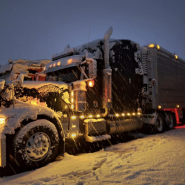 Фестиваль Winter Truck Show фотографии