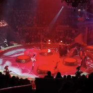 Шоу «Королевский цирк» фотографии