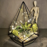 Акция «Черная пятница» в студиях Artista фотографии