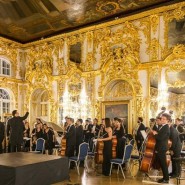 XXVI Международный музыкальный фестиваль «Дворцы Санкт-Петербурга» фотографии