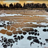Выставка «Живая материя» фотографии