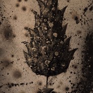 Выставка «Антон Щаблыкин. BLUMEN» фотографии