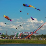 Пушкинский фестиваль воздушных змеев 2016 фотографии