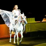 Шоу Большого Московского цирка  «Эмоции и..» фотографии