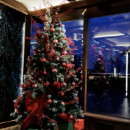 Зимний круиз по Неве на трехпалубном теплоходе «Шустрый Бобёр» фотографии