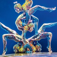 Путешествие по стране снов от команды Cirque du Soleil онлайн фотографии