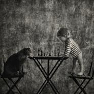 Выставка  «Маленькая девочка и кот Том» фотографии