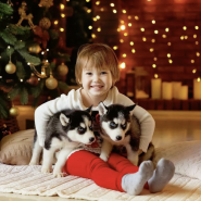 Зимний фуд-фест «Вкус зимы» 2025 фотографии