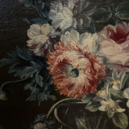 Выставочный проект «Класс зверей и птиц, цветов и плодов. Академические классы XVIII века» фотографии