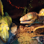 Выставка движущихся гигантов «Планета Динозавров» фотографии
