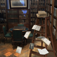 Выставка «В нашей квартире собаки и кот: питомцы С.М. Кирова» фотографии