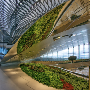 Экскурсия в Лахта Центр - самая высокая обзорная площадка Европы фотографии