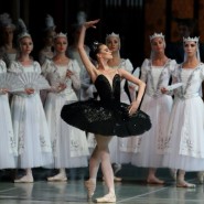 Балет «Лебединое озеро» в Мариинском театре фотографии